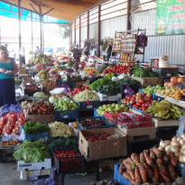 фото из отзыва ID 1988309