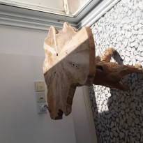 фото из отзыва ID 1988426