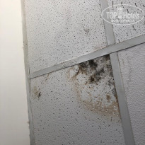 фото из отзыва ID 1988493