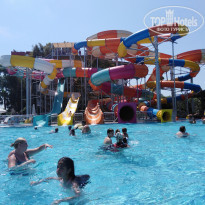 фото из отзыва ID 1988551