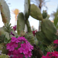 фото из отзыва ID 1988063