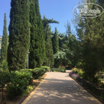 фото из отзыва ID 1988577