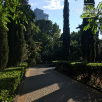 фото из отзыва ID 1988577