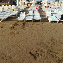 фото из отзыва ID 1988533