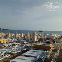 фото из отзыва ID 1988533