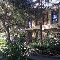 фото из отзыва ID 1988613