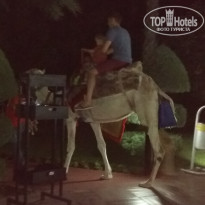 фото из отзыва ID 1988447