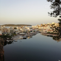 фото из отзыва ID 1988658