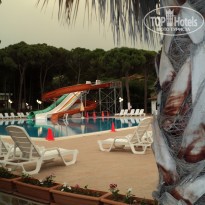 фото из отзыва ID 1988669