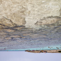 фото из отзыва ID 1988815