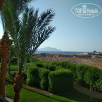 фото из отзыва ID 1988441