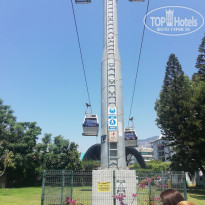 фото из отзыва ID 1988940