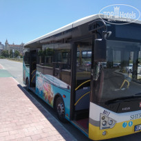 фото из отзыва ID 1989058