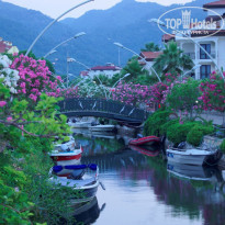 фото из отзыва ID 1988318