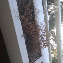 фото из отзыва ID 1989104