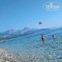 фото из отзыва ID 1989101