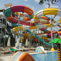 фото из отзыва ID 1989126