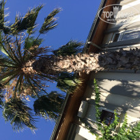 фото из отзыва ID 1989185