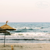 фото из отзыва ID 1989038