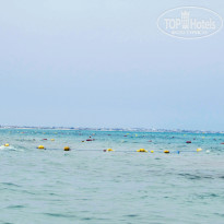 фото из отзыва ID 1989038