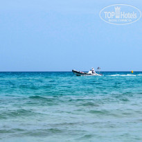 фото из отзыва ID 1989038