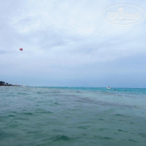 фото из отзыва ID 1989038