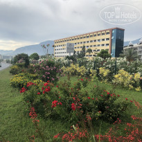 фото из отзыва ID 1989186