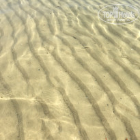 фото из отзыва ID 1989271