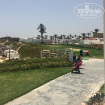 фото из отзыва ID 1989271