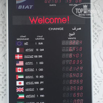 фото из отзыва ID 1989271