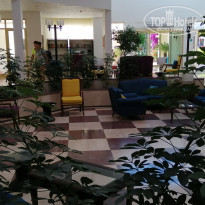 фото из отзыва ID 1989405