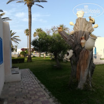 фото из отзыва ID 1989427