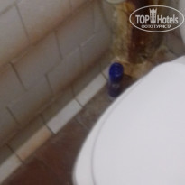 фото из отзыва ID 1989404