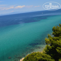 фото из отзыва ID 1989441