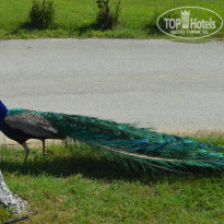 фото из отзыва ID 1989441