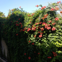 фото из отзыва ID 1989512