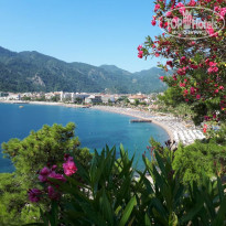 фото из отзыва ID 1989443