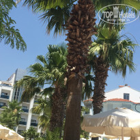 фото из отзыва ID 1989706