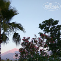 фото из отзыва ID 1989692