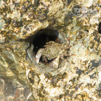 фото из отзыва ID 1989679