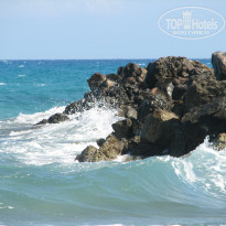 фото из отзыва ID 1989679