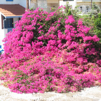 фото из отзыва ID 1989679