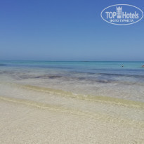 фото из отзыва ID 1989553