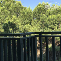 фото из отзыва ID 1989765