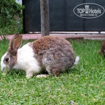 фото из отзыва ID 1989832