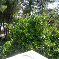 фото из отзыва ID 1989872