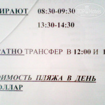 фото из отзыва ID 1989875