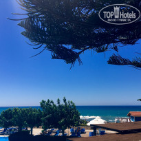 фото из отзыва ID 1989846