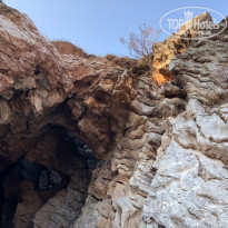 фото из отзыва ID 1989829