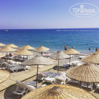 фото из отзыва ID 1989851